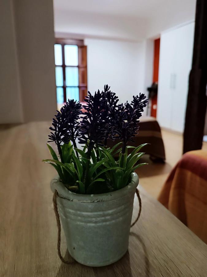 Corrala De San Anton. Sencillo Apartamento En Pleno Centro Granada Exteriör bild